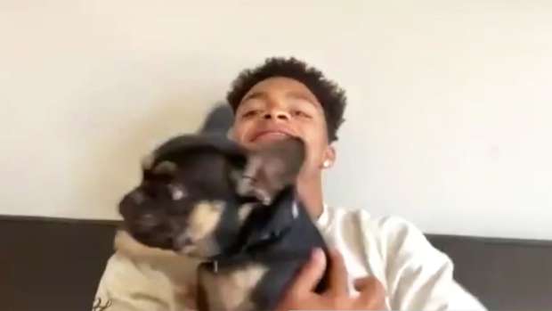 Justin Fields dog